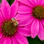 649彩票开奖时间及最新中奖号码查询指南 dj83y