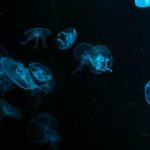 644887期最新开奖结果已公布,速来查看中奖号码 k75ao78tw